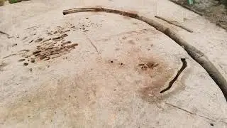 Video of Archaeological Site at Scholarstown, Ballyboden by Ballyboden Tidy towns