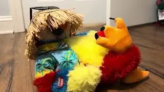 Cuddle barn 2012 singing parrot (thrift store find)