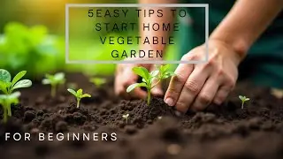 5 Easy Tips for Starting a Home Vegetable Garden | Home Gardening #garden #tips #plants #video