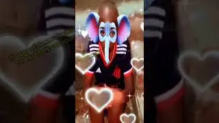 TIRI&Ccedil;A MANDOU ESCOLTA O SALOM&Atilde;O, COELH&Atilde;O E A RAPAZIADA DA FAZENDA 🥹 #shorts