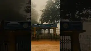 Cotbari, Cotbari Polytechnic Institute, Bird Comillam