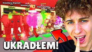 I ROBBED THE BASE OF THE BEST YOUTUBER FROM POLAND in STEAL A BRAINROT! 🤯