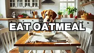 Can Dogs Eat Oatmeal? Explained