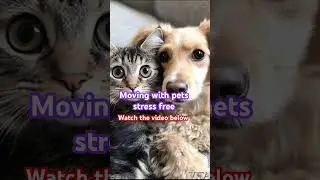 How to move with your pets stress free! #movingwithpets #moving #movinghouse