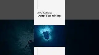 EXPLAINED: Deep-Sea Mining & the Potential Environmental Impacts
