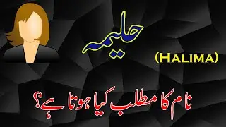 Halima Name Meaning in Urdu & Hindi | Halima Naam Ka Matlab Kya Hai (حلیمہ نام معنیٰ)