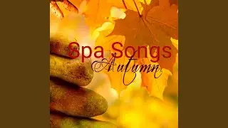 Spa Breaks for Couples