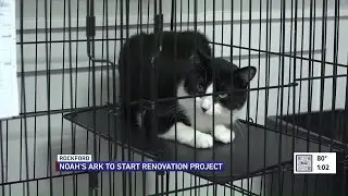 Noah&rsquo;s Ark Animal Sanctuary announces renovations, asks for volunteers