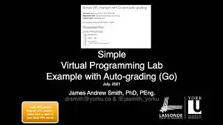 Virtual Programming Lab and Go Auto-Grading Example