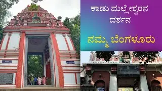ಶ್ರೀ ಕಾಡುಮಲ್ಲಿಕಾರ್ಜುನ ದೇವಾಲಯ,ಮಲ್ಲೇಶ್ವರಂ ಬೆಂಗಳೂರು#viral#bangalore#temlpe#god#shiv#omnamahshivaya 