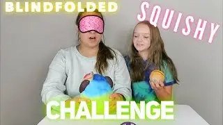 BLINDFOLDED SQUISHY CHALLENGE WITH A TWIST! | Bryleigh Anne