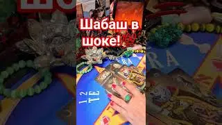 Шабаш в ШОКЕ! #таро #анжеламанвелян #расклад