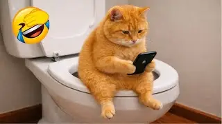 Funny ANIMALS videos 😂 | Funniest Cats and Dogs 2026 🐶😼 Part 30