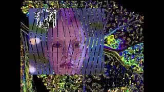 G-spot Boys - Przyszły mieszkaniec florydy