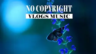 MBB - Fantastic (No Copyright Vlogs Music)