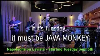 Java Monkey 2.0 - Playing selected Tuesdays at Napoleons on Lavista - starting Sept 5th