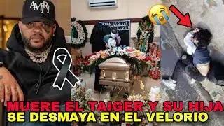 Muer3 el Taiger 😭 su hija se desmaya al verlo morir!😱