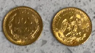 Buying Fractional Gold at FUN Show Orlando (Coin Show)