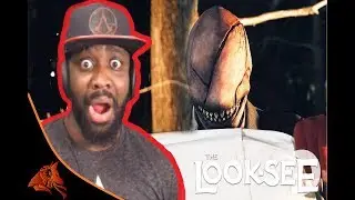 LOOK-SEE | 
