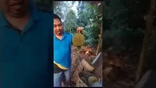 Jatuhnya Sakit, Rasanya Canduu