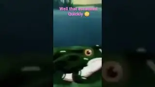 Here we show you what close up of a frog croaking