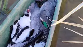 ٣٠ كانون الأول، ٢٠٢٥