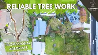 RESIDENCIAL TREE WORK - BLACKMANS BAY - TASMANIA