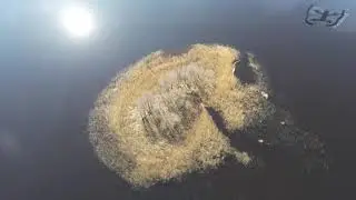 A bird's eye view of a small island