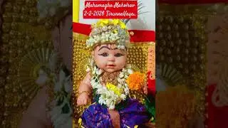 More tomorrow.Kerala Kumba Mela 2026 #TIRUNNAVAYA#kerala #India #news