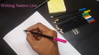 Live Writing Session ✍️ | Quiet Desk | Silent Work | 穏やか