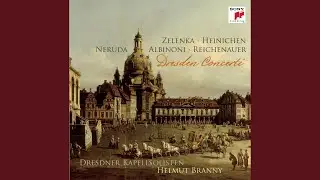 Concerto in G Major, S. 213: II. Larghetto
