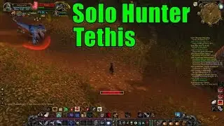 [WoW] Tethis SOLO HUNTER Raptor Mastery - Vanilla / Classic