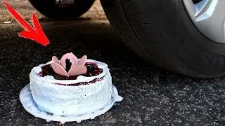 EXPERIMENT: CAR VS CAKE