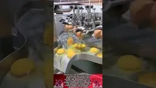 Super fast automatic egg peeling machine || Modern production line