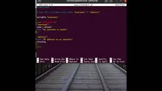 Shell scripting - Case Statement
