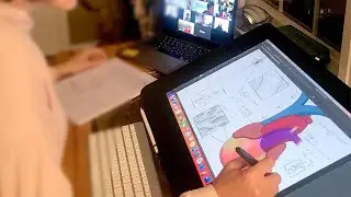 UBC Certificate in Biomedical Visualization & Communication | UBC Extended Learning