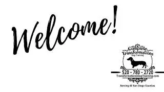Welcome to Complete Transformations Dog Training - San Diego