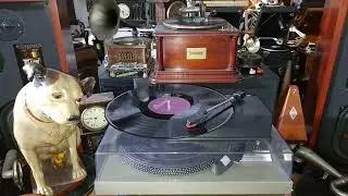 Worst Small Record Player? USB Mini Turntable. LP Vinyl To MP3 Converter. Tenderly. Billy May Orch.
