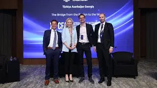 Energy & Sustainable Finance Panel | 11th CFA CEE Investment Conference