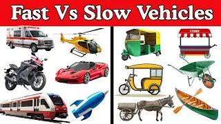 Types of Vehicles for Kids | Fast and Slow Vehicles | Learn Vehicle Names in English🚓🛺