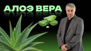 Алоэ вера: правда и мифы. Что реально работает, а что маркетинг