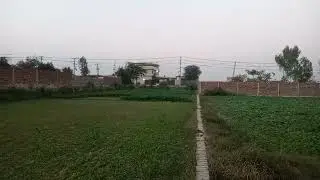 Best investment for Farm House Dairy Farm, Factory Wearhouse Gas Bijli available Main Sua Asal road 