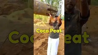 How To Start COCO PEAT 🌴 AND FIBER BUSINESS 🥥🔥? / Is COCO peat and fiber Business Profitable ?