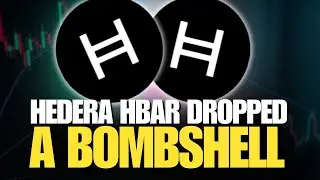 Shockwave Hits the Market | HBAR Holders Need to Be Ready!