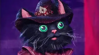 the cat witch performs &ldquo;abracadabra&rdquo; by lady gaga