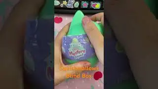 #cute #squishmallows #squishmallowsquad #mysterysquad  #blindbox