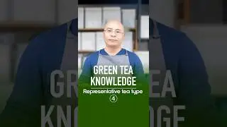 A World of Green Tea. Exploring the Diverse Varieties.