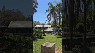Side view of Stanley Falls Log Flume drop at Busch Gardens Tampa
