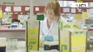 Essential Lab Skills and Molecular Biology Techniques Workshop: from Theory to Bench