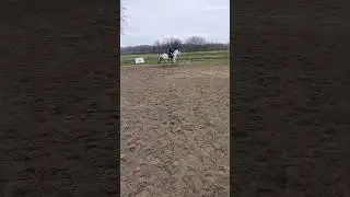 Galop sans &eacute;triers avec fanta